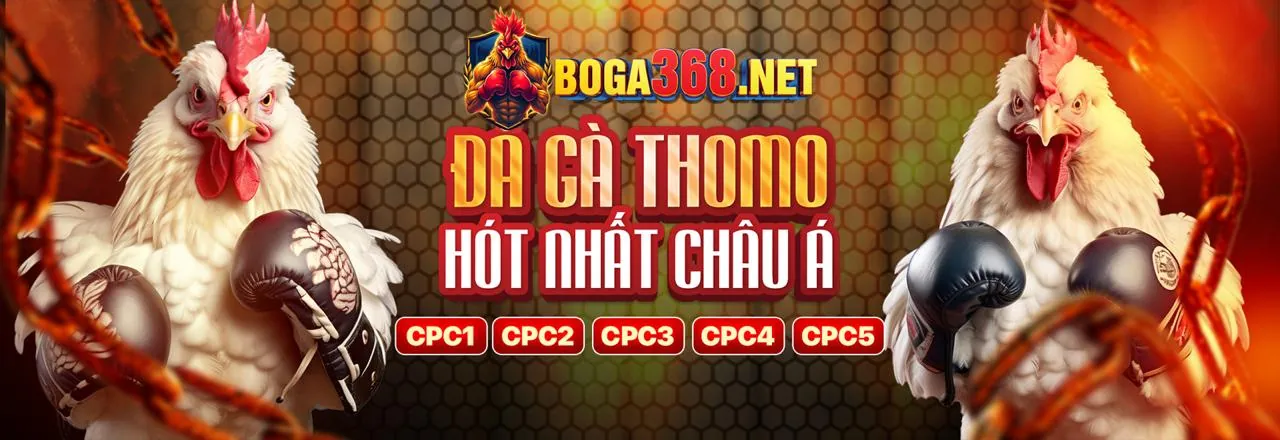 Banner kêu gọi hành động h3bet win